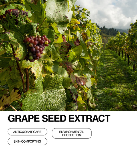 A cluster of red grapes hangs from a leafy vine in a sunlit vineyard. Text below reads Grape Seed Extract with benefits: Antioxidant Care, Environmental Protection, and Skin-Comforting.
