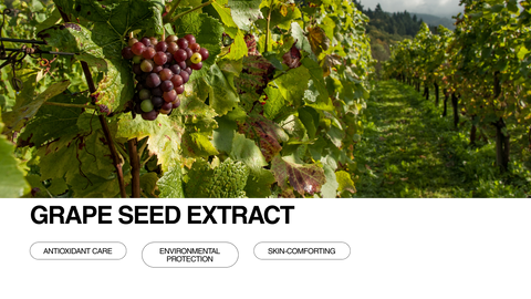 Clusters of grapes hang from a vine in a lush vineyard, with green leaves and rows of vines stretching into the distance. Text below reads GRAPE SEED EXTRACT and highlights its benefits.