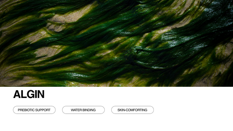 Close-up of green seaweed or algae spread across a sandy surface. Below, the word ALGIN is written, with three labeled buttons: Prebiotic Support, Water Binding, and Skin-Comforting.