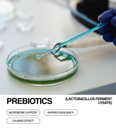 A gloved hand holds a pipette above a petri dish with green liquid. Text below reads Prebiotics (Lactobacillus Ferment Lysate) with phrases: Microbiome Support, Barrier Resilience, and Calming Effect.