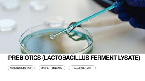 A gloved hand uses a pipette to place liquid in a petri dish. Text reads PREBIOTICS (LACTOBACILLUS FERMENT LYSATE) with buttons below: Microbiome Support, Barrier Resilience, and Calming Effect.