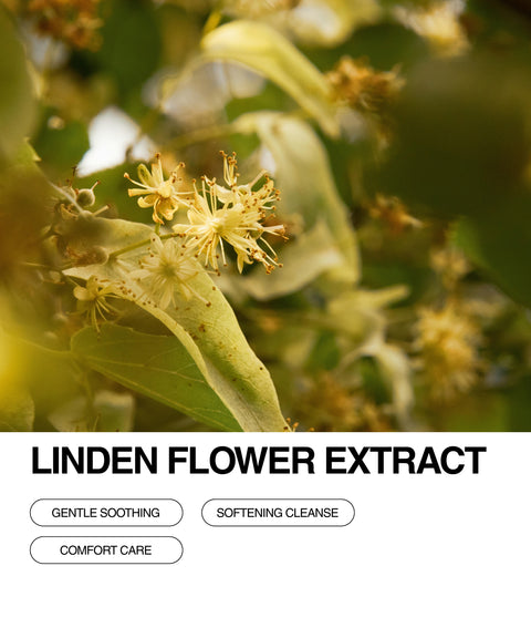 Close-up of linden flowers and green leaves on a tree branch, with text overlay reading Linden Flower Extract and buttons labeled Gentle Soothing, Softening Cleanse, and Comfort Care.