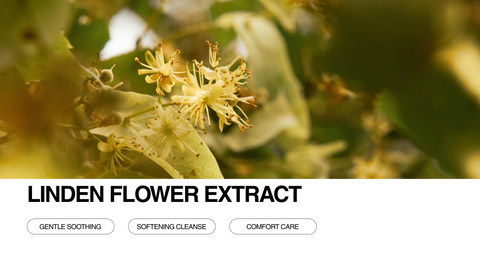 Close-up of blooming linden flowers surrounded by green leaves, with text overlay reading Linden Flower Extract and buttons labeled Gentle Soothing, Softening Cleanse, and Comfort Care below.