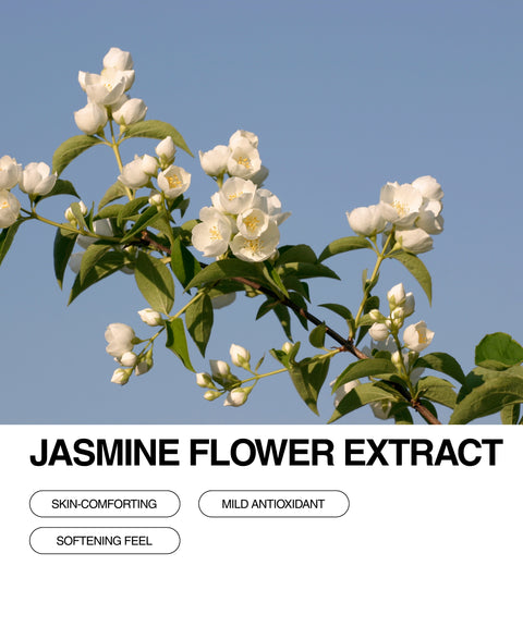A branch of blooming white jasmine flowers against a clear blue sky, with text below reading Jasmine Flower Extract and button labels: Skin-Comforting, Mild Antioxidant, and Softening Feel.