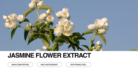 A branch of white jasmine flowers against a clear blue sky, with text below reading Jasmine Flower Extract and three buttons labeled Skin-Comforting, Mild Antioxidant, and Softening Feel.