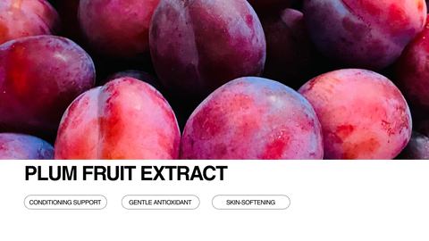 A close-up of fresh, ripe plums with text overlay reading “Plum Fruit Extract” and buttons labeled “Conditioning Support,” “Gentle Antioxidant,” and “Skin-Softening” on a light background.