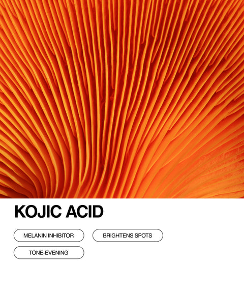 Close-up of orange mushroom gills with text below reading Kojic Acid and buttons labeled Melanin Inhibitor, Brightens Spots, and Tone-Evening describing its skincare benefits.