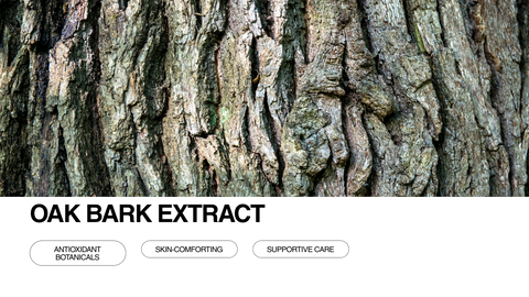Close-up of textured oak tree bark with text overlay: OAK BARK EXTRACT and three buttons labeled Antioxidant Botanicals, Skin-Comforting, and Supportive Care.