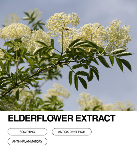 Elderflower clusters blooming against a blue sky. Text below reads “ELDERFLOWER EXTRACT” with buttons labeled “Soothing,” “Antioxidant Rich,” and “Anti-Inflammatory.”.
