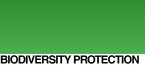 A bold black text reading BIODIVERSITY PROTECTION is displayed on a white background, with the upper half of the image filled with a solid green color.
