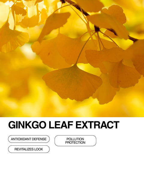 Close-up of vibrant yellow ginkgo leaves on branches, with bright sunlight in the background. Text below reads “Ginkgo Leaf Extract” and lists benefits: antioxidant defense, pollution protection, revitalizes look.