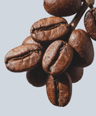 A close-up of roasted coffee beans clustered on a light gray background, their glossy texture reminiscent of the smooth finish from Keratin Volume Boost Shampoo enriched with sulfate-free keratin amino acids.