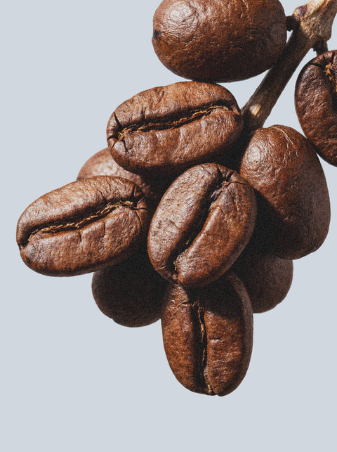 A close-up of roasted coffee beans clustered on a light gray background, their glossy texture reminiscent of the smooth finish from Keratin Volume Boost Shampoo enriched with sulfate-free keratin amino acids.