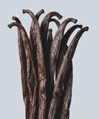 A close-up of dried vanilla beans standing upright against a light grey background, reflecting the rich essence found in Hand & Body Wash, Patchouli & Amber Vanilla. The dark brown pods evoke nourishing botanical extracts.